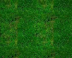 Tilable grass texture from an image tiling lesson, by __jrjwb__. The ~1 megapixel square texture uses DXT5 compression.